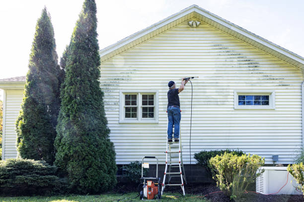 Best Pressure Washing Cost  in Blackwater, AZ