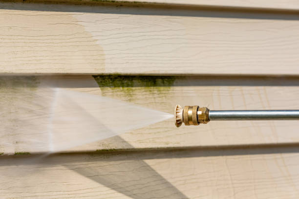 Best Pressure Washing Services Near Me  in Blackwater, AZ