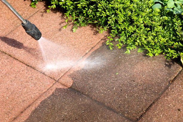 Best Commercial Building Pressure Washing  in Blackwater, AZ